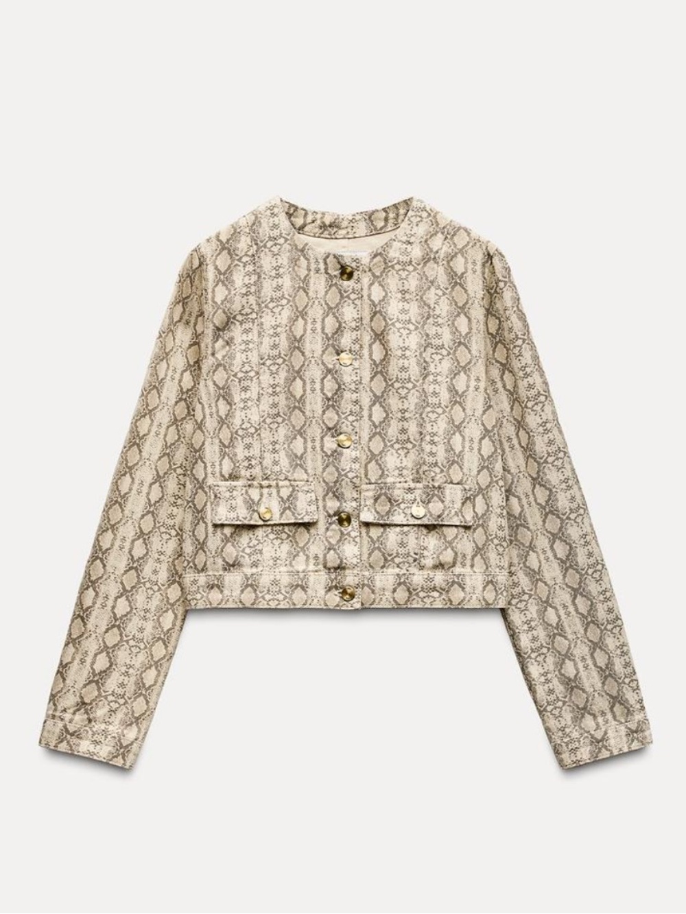 ZARA Snake-Print Blazer